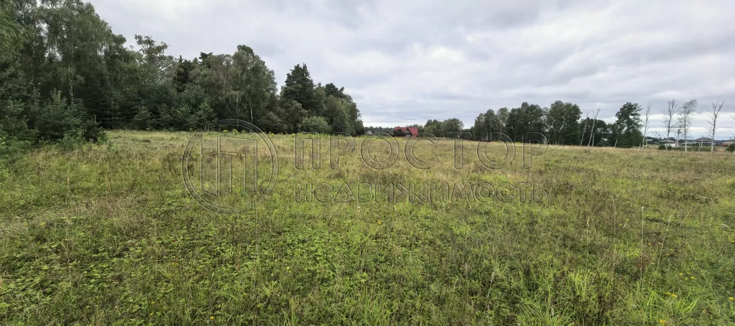 Коммерческая недвижимость (земельный участок),  м² - фото 6