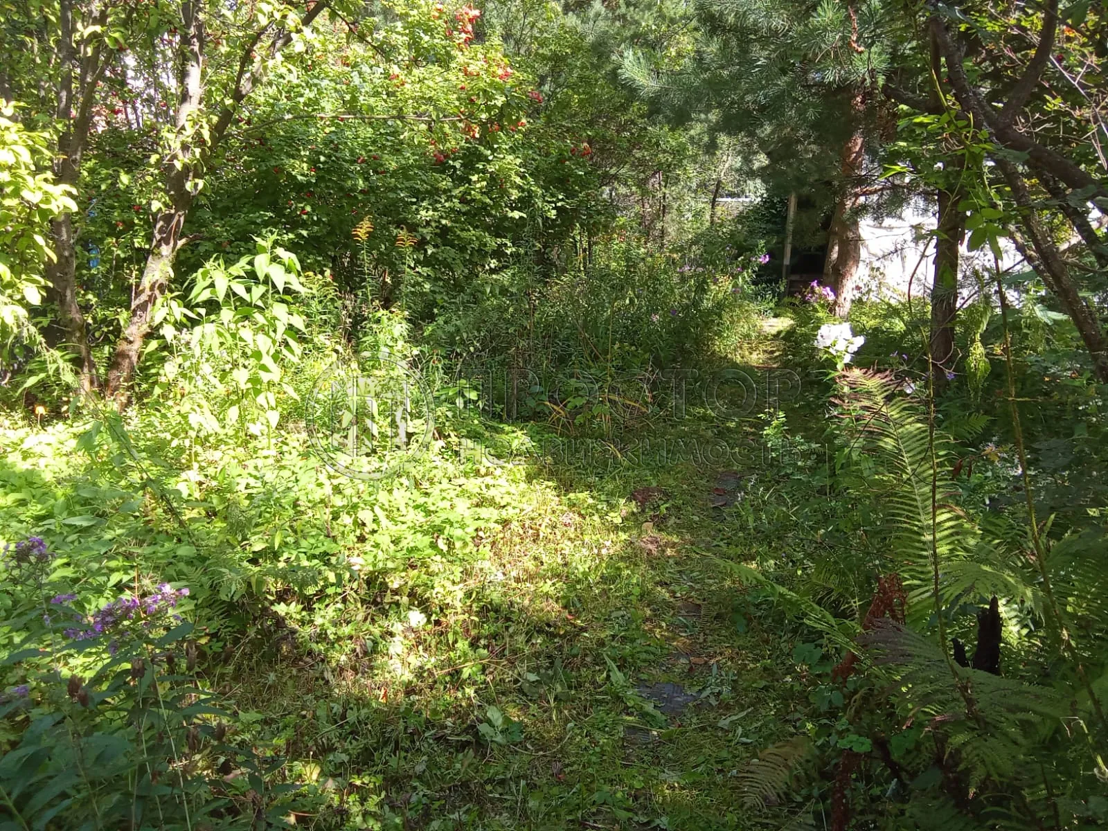 Участок, 10 сот. - фото 7