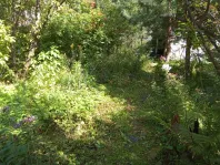 Участок, 10 сот. - фото 16