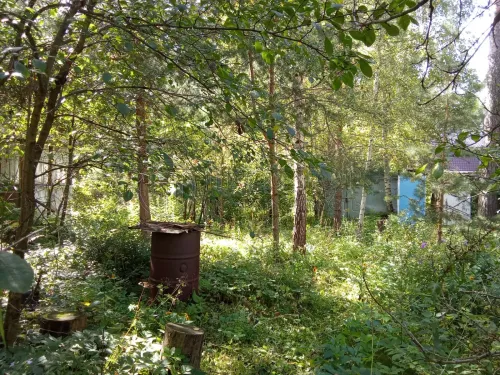 Участок, 10 сот. - фото 8