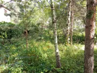 Участок, 10 сот. - фото 18