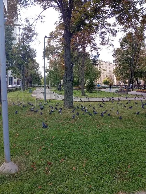 Студия, 19.3 м² - фото 17