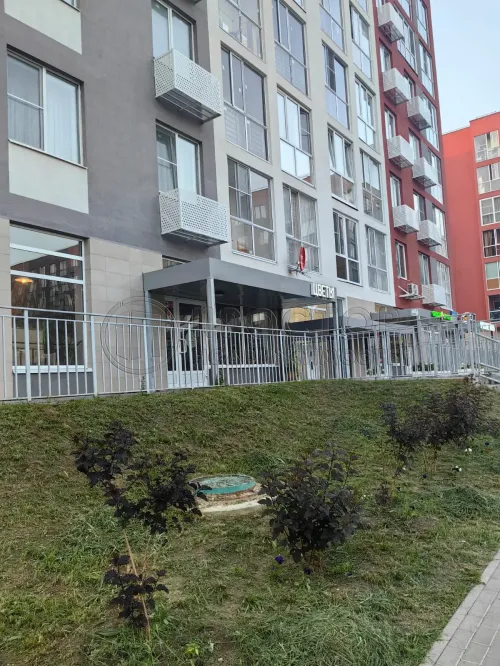 Студия, 28.3 м² - фото 2