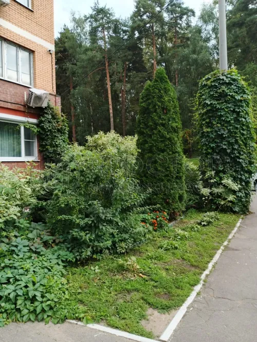 1-комнатная квартира, 40.3 м² - фото 29