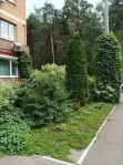 1-комнатная квартира, 40.3 м² - фото 57