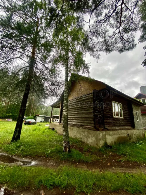 Дом, 50 м² - фото 4