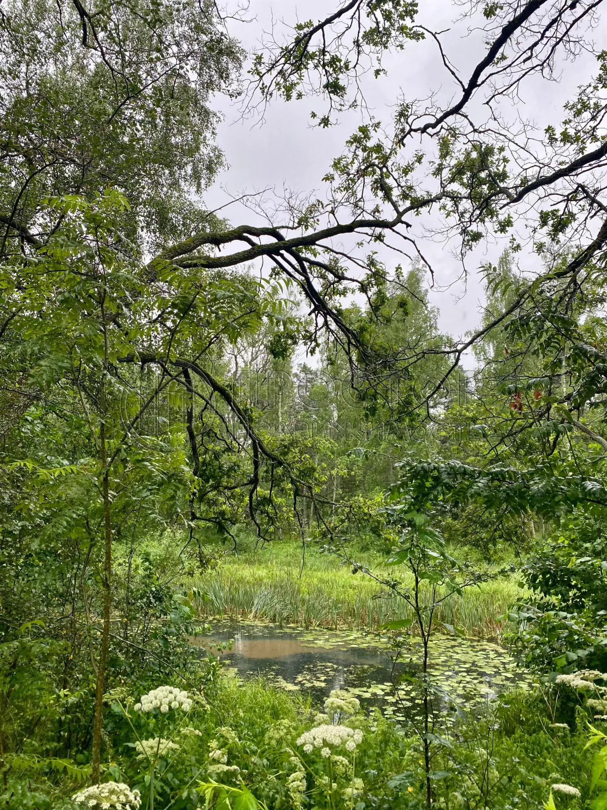 Дом, 50 м² - фото 37