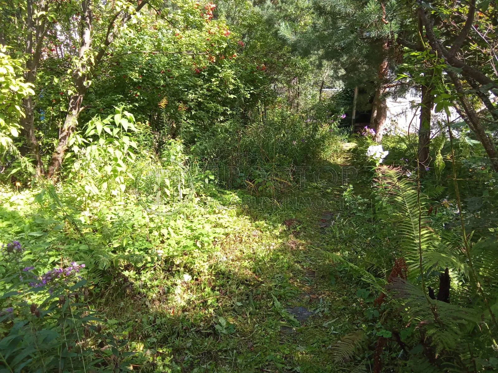 часть дома, 120 м² - фото 18