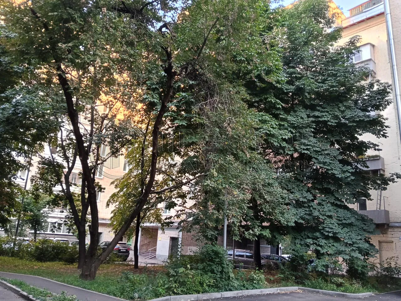 3-комнатная квартира, 86.6 м² - фото 24