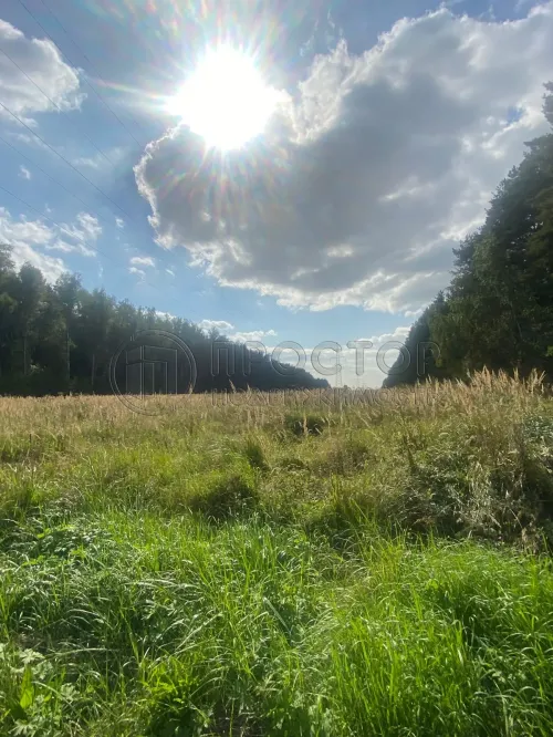 Участок, 8 сот. - фото 2