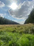 Участок, 8 сот. - фото 9