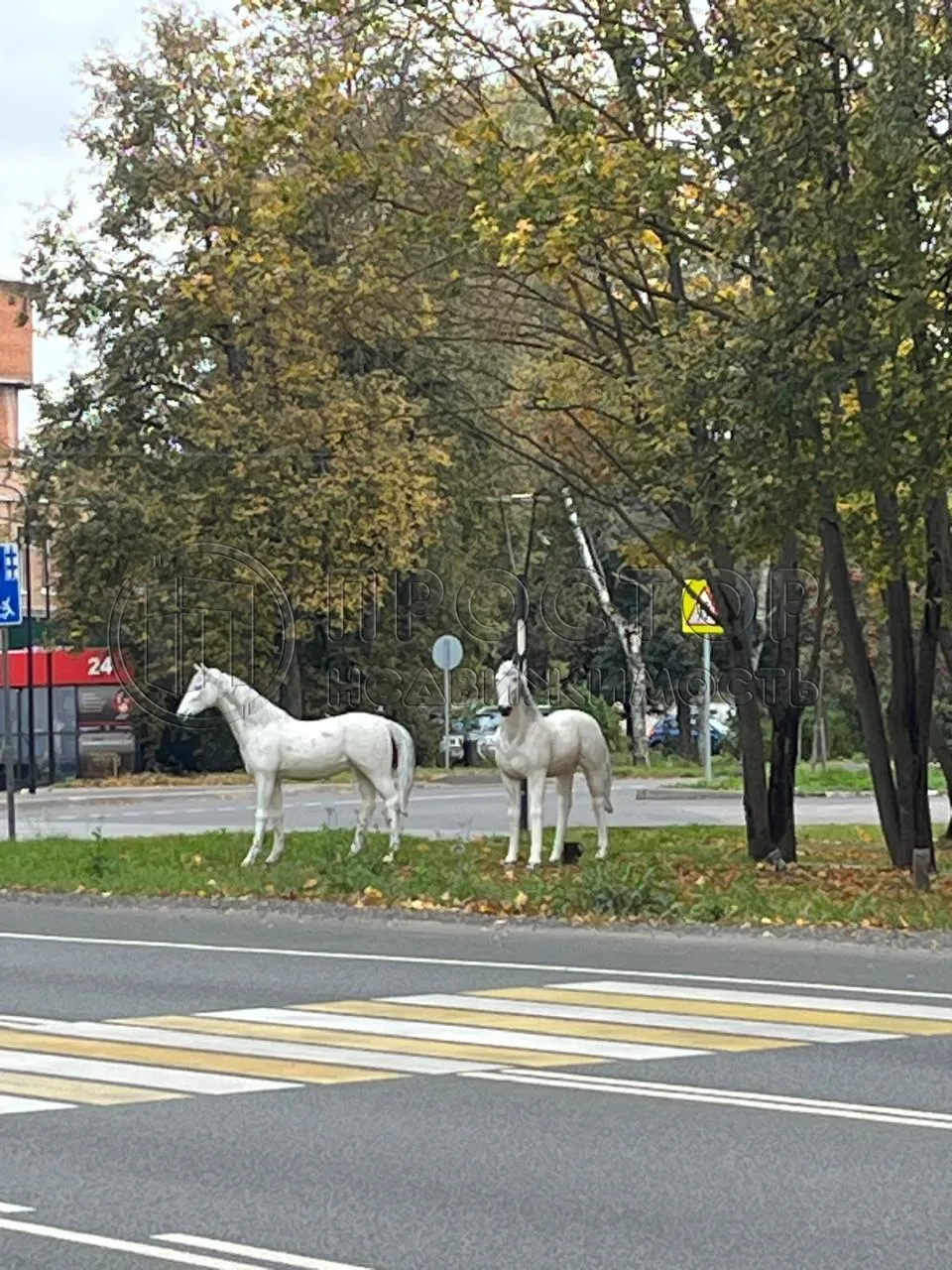 2-комнатная квартира, 39.7 м² - фото 18