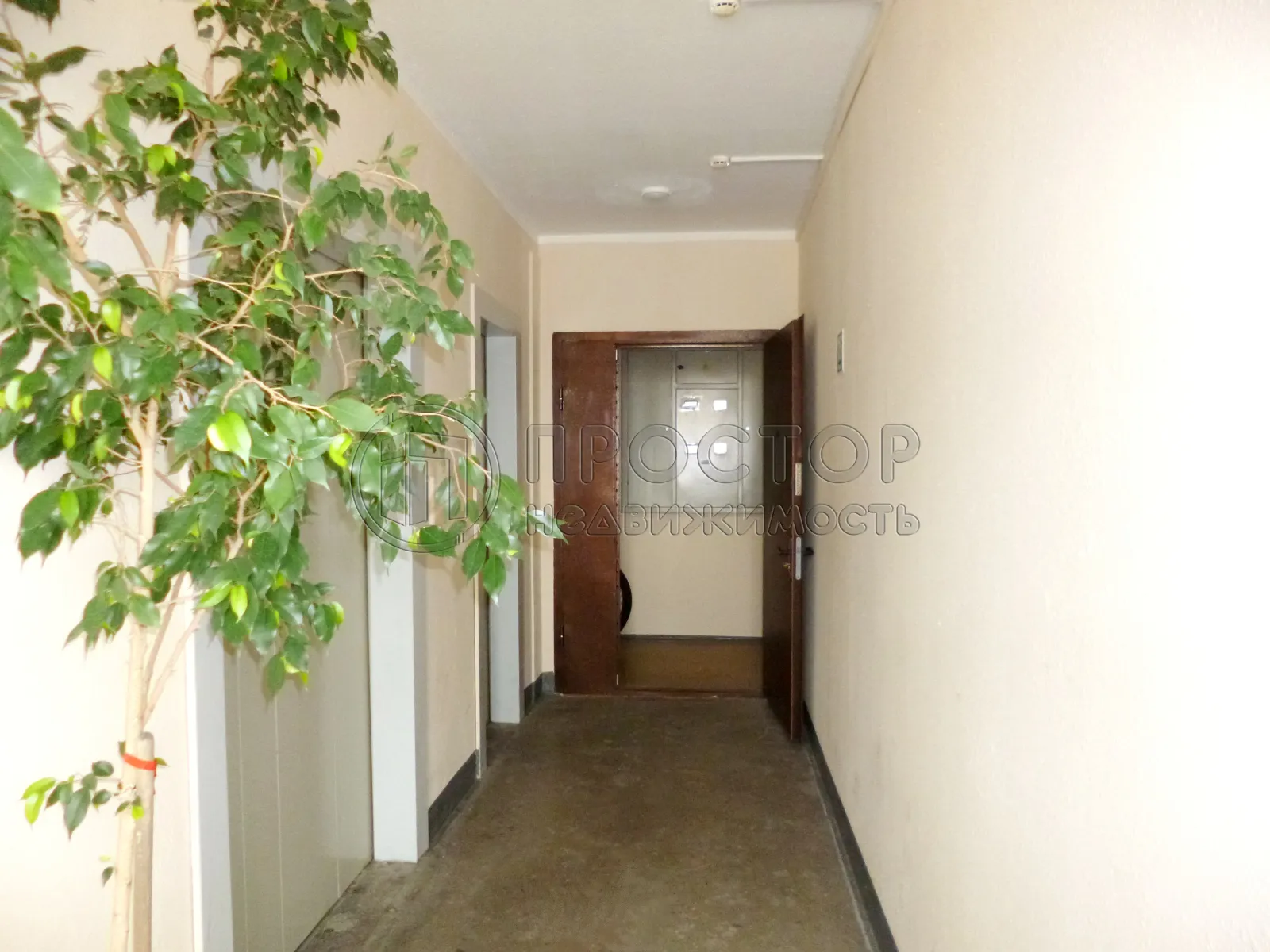 2-комнатная квартира, 51.6 м² - фото 7