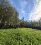 Участок, 6 сот. - фото 10