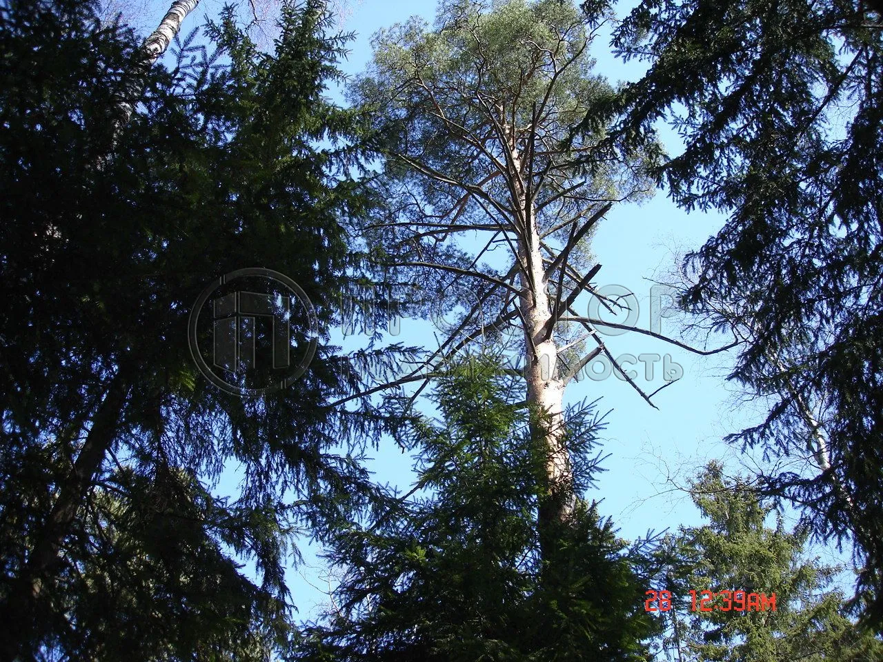 Дом, 240 м² - фото 11