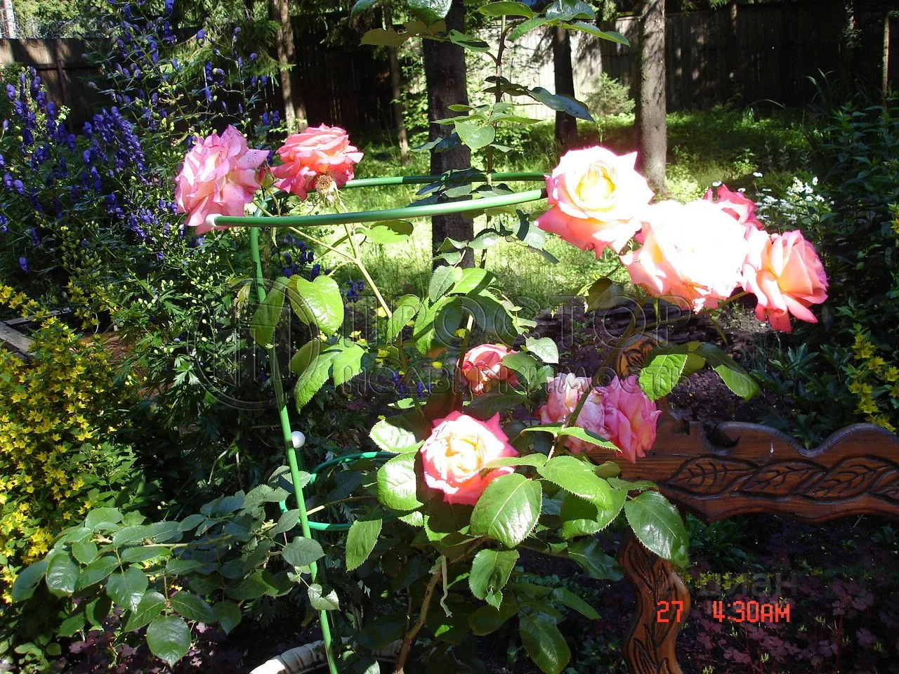 Дом, 240 м² - фото 13