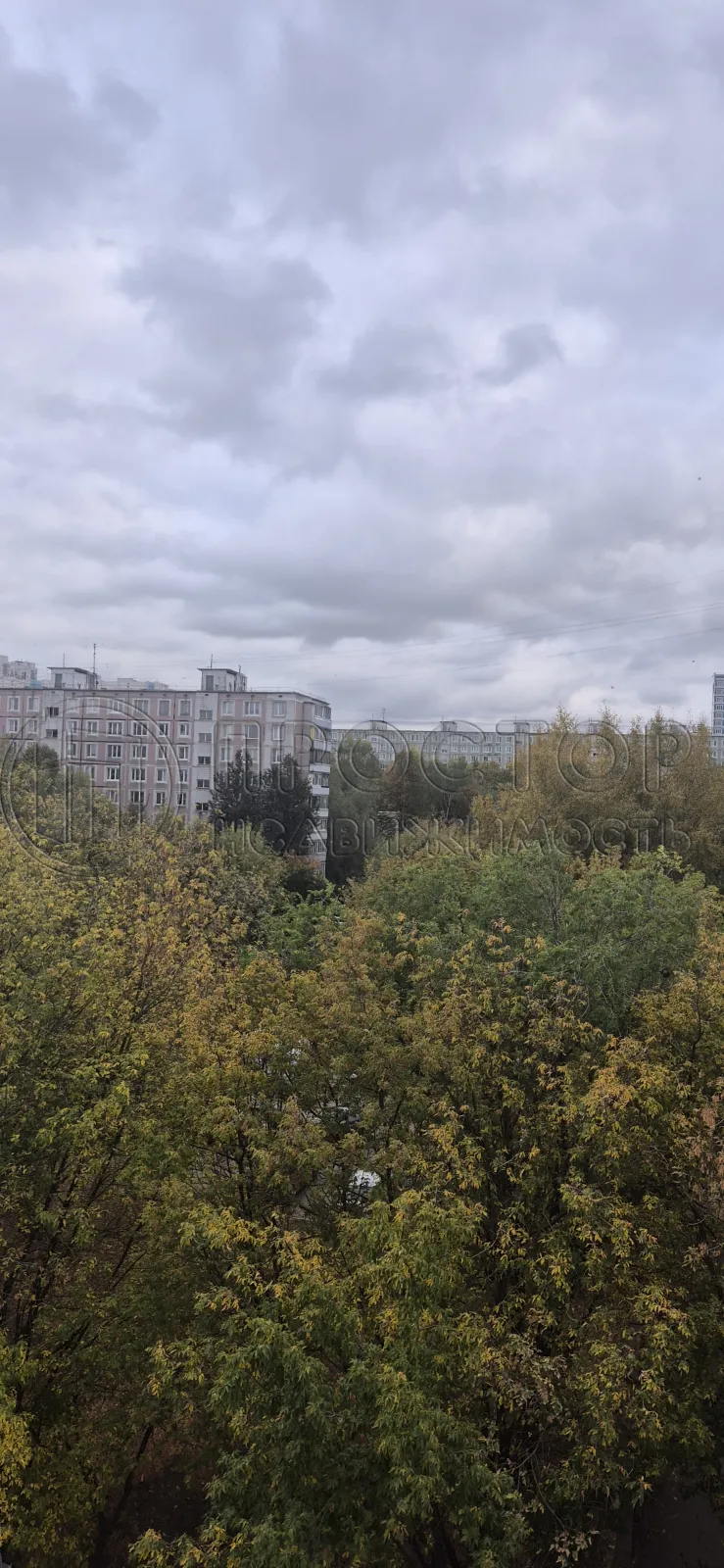 3-комнатная квартира, 64.8 м² - фото 12