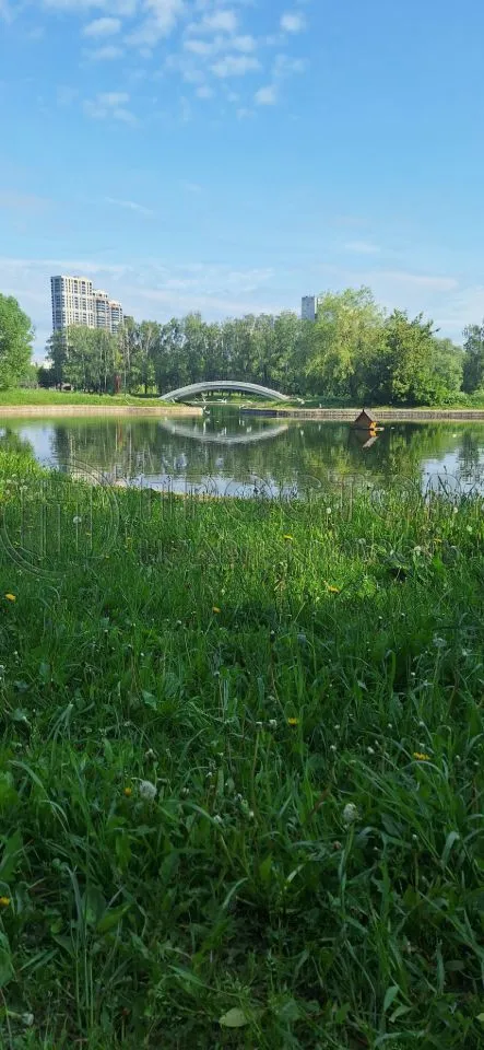 2-комнатная квартира, 54.5 м² - фото 30