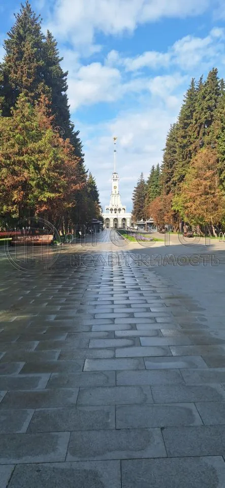 2-комнатная квартира, 54.5 м² - фото 31