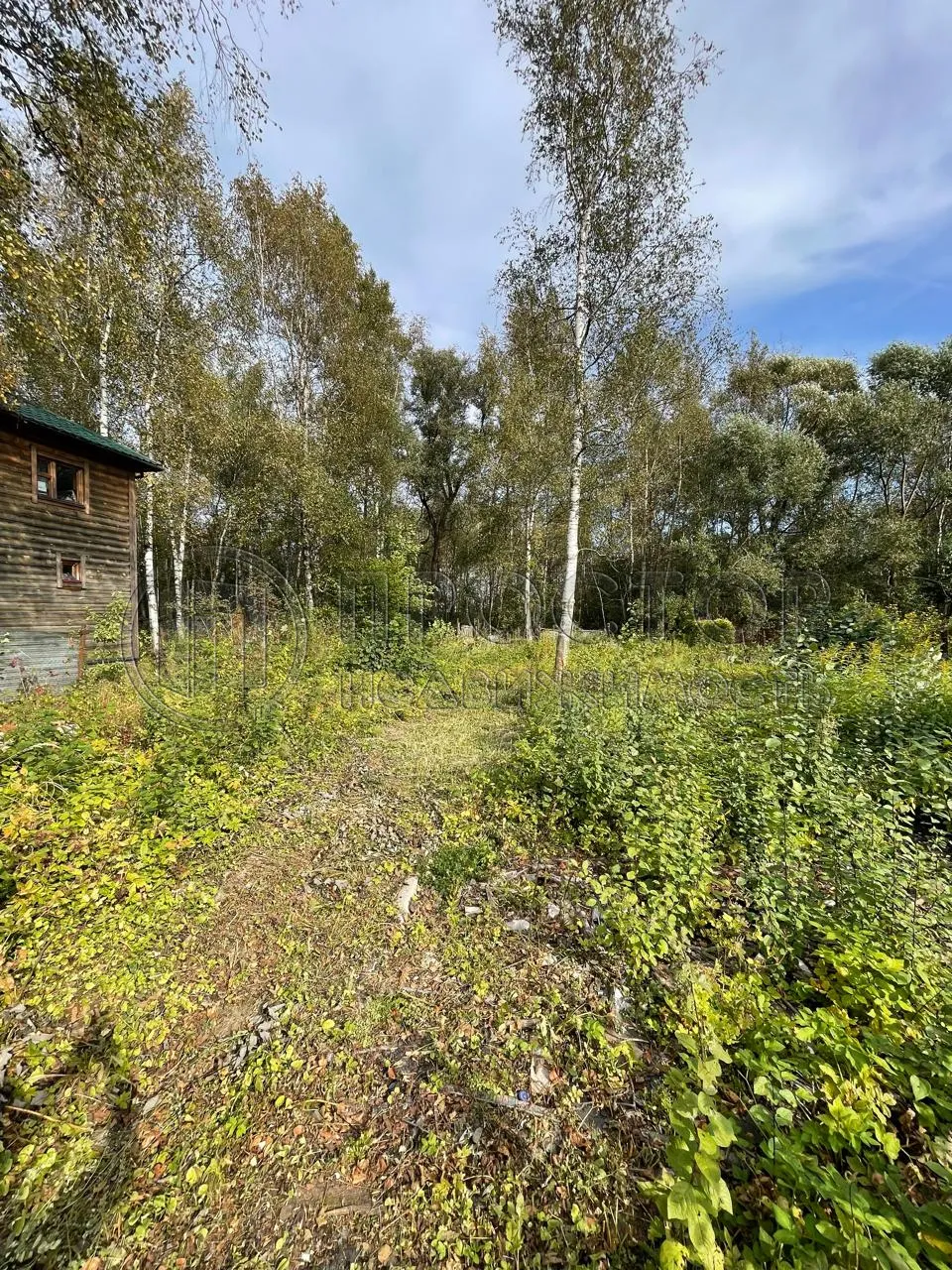 Участок, 11.09 сот. - фото 14