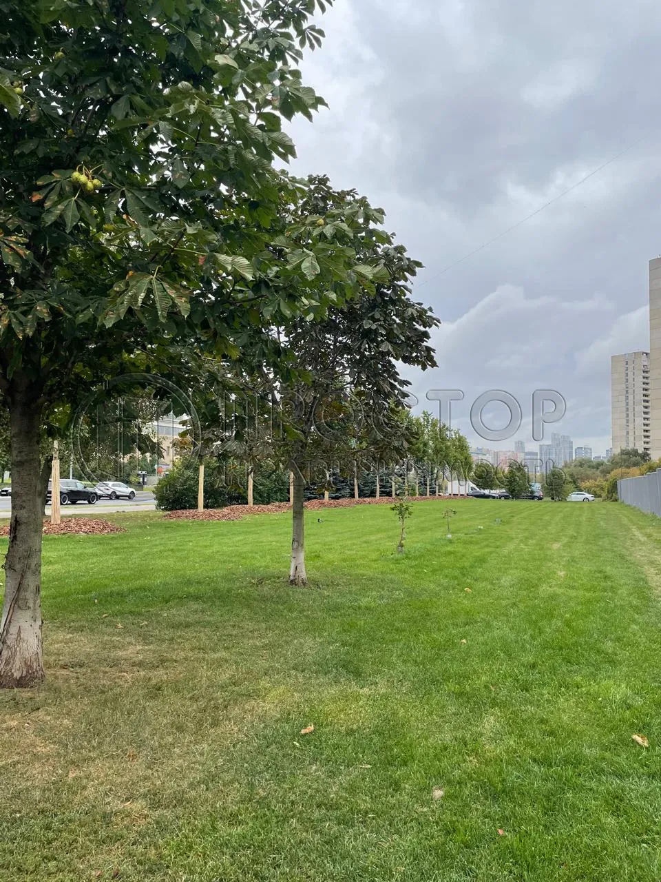 2-комнатная квартира, 58.2 м² - фото 2