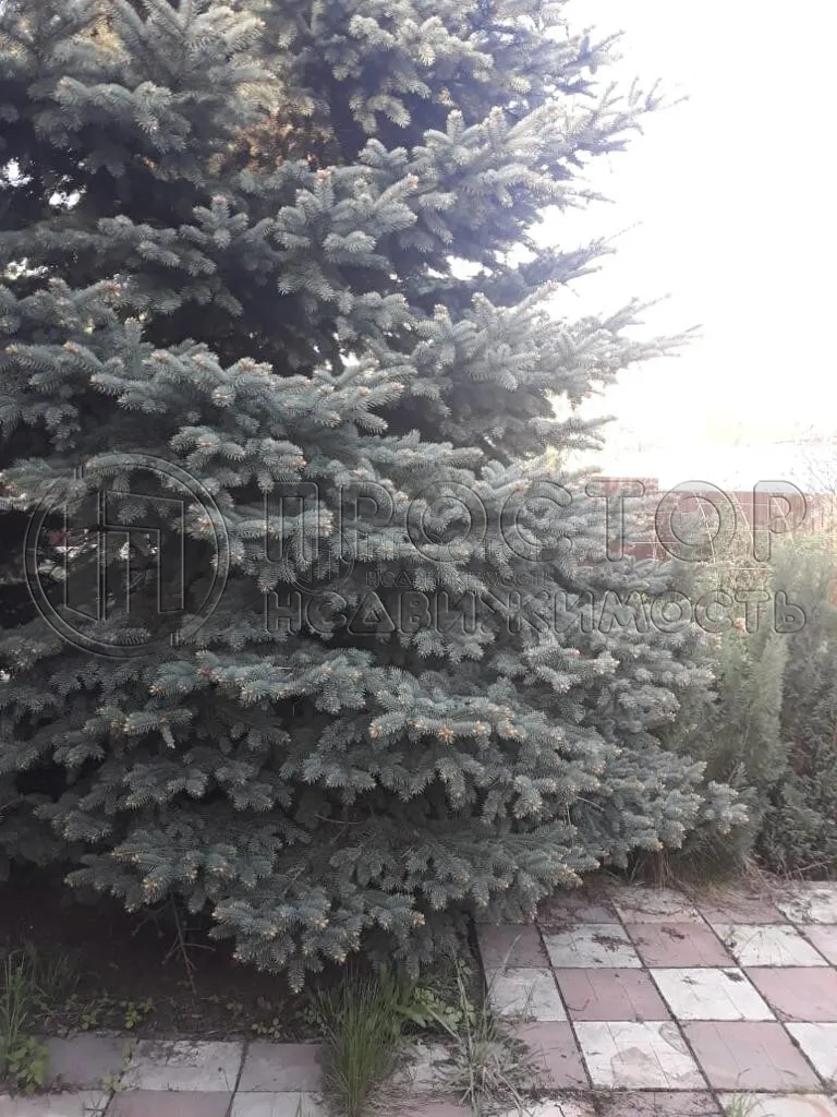 Дом, 195 м² - фото 10