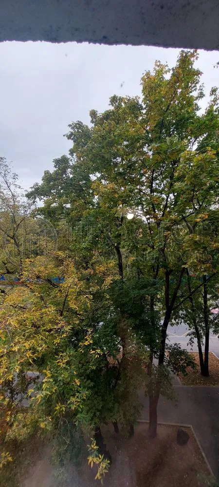 2-комнатная квартира, 37 м² - фото 23