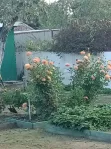 Дом, 220.1 м² - фото 50