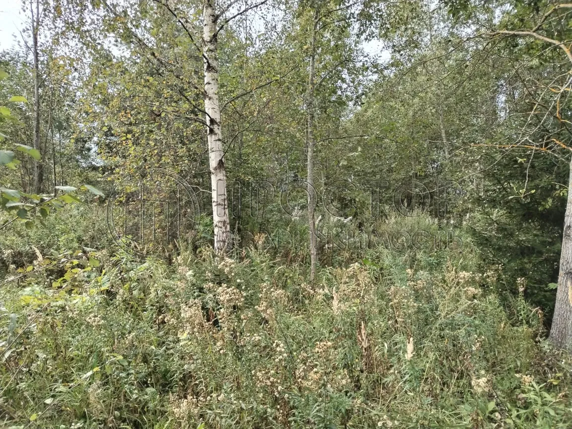 Участок, 15 сот. - фото 3