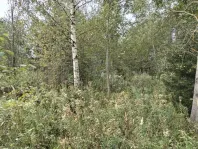 Участок, 15 сот. - фото 13