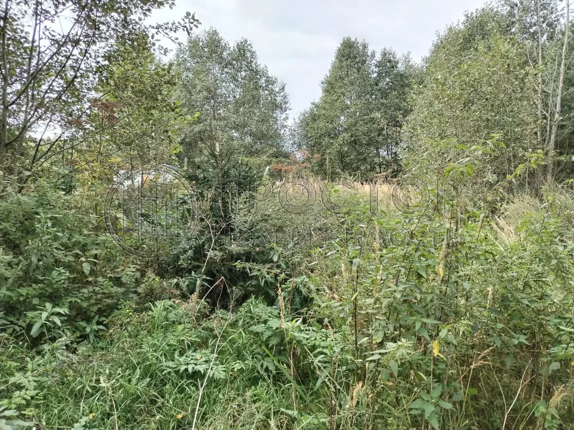 Участок, 15 сот. - фото 6