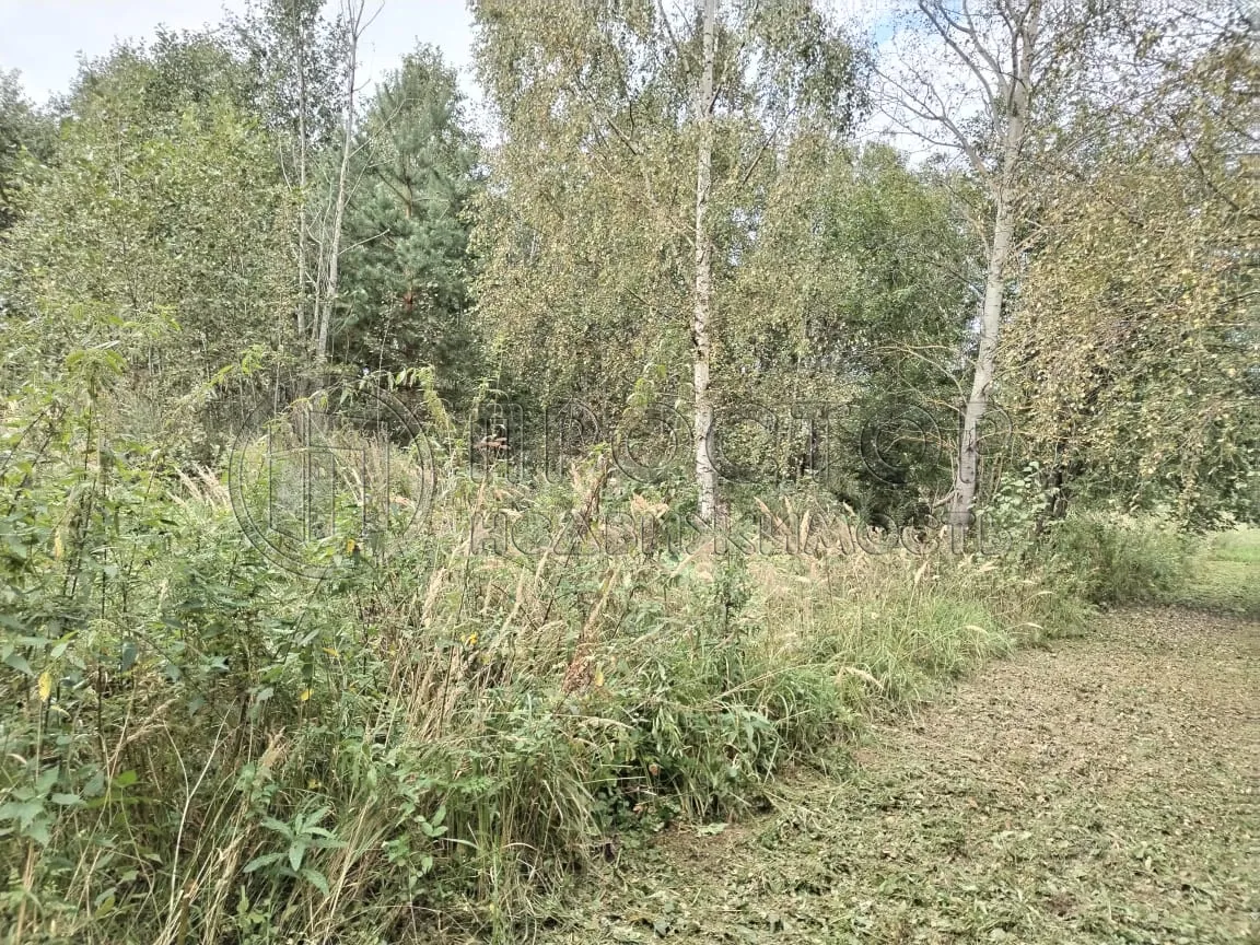 Участок, 15 сот. - фото 7