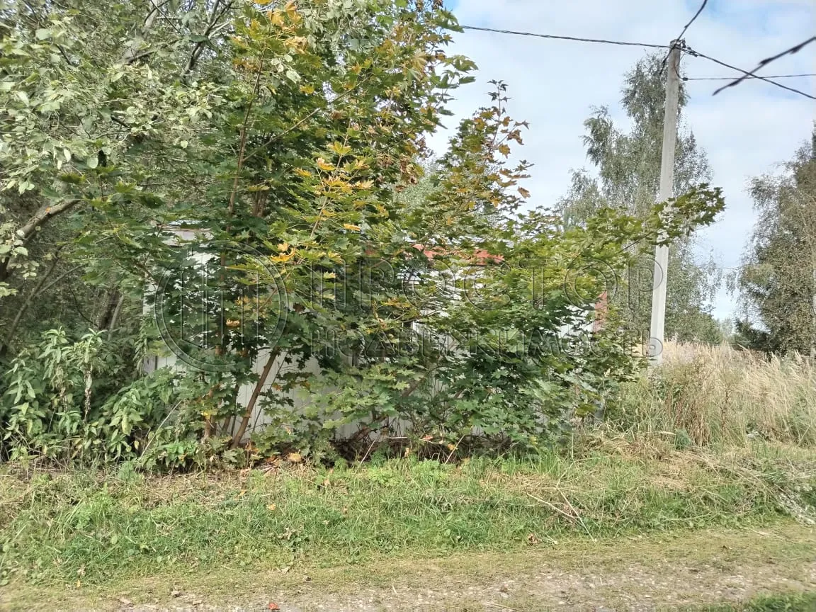 Участок, 15 сот. - фото 8