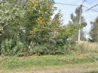 Участок, 15 сот. - фото 18