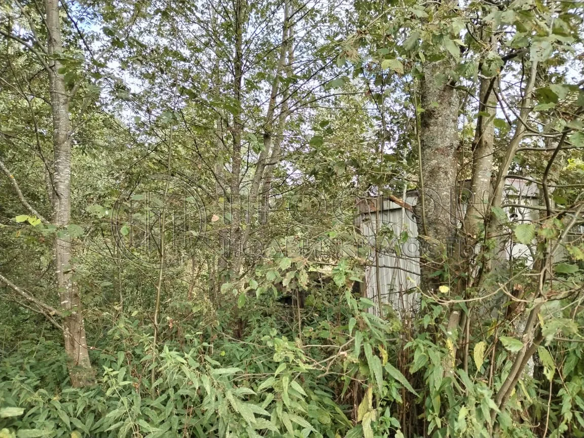 Участок, 15 сот. - фото 9