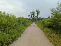 Участок, 12 сот. - фото 6