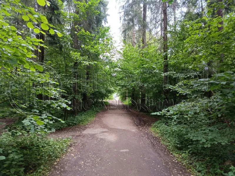 Участок, 12 сот. - фото 4