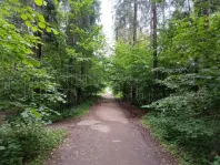 Участок, 12 сот. - фото 7