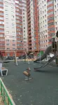 Комната, 17 м² - фото 10