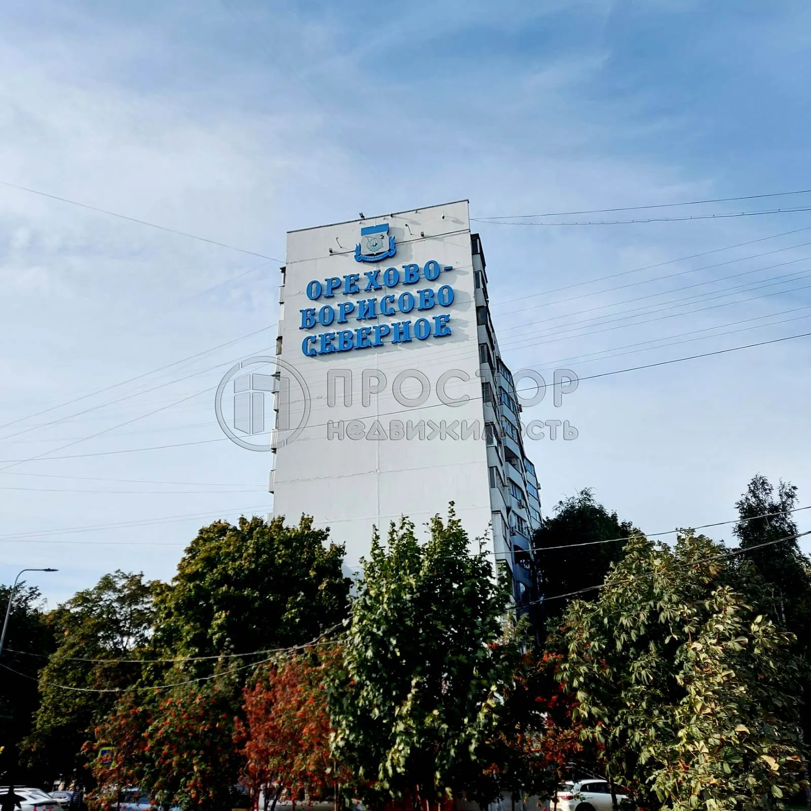 1-комнатная квартира, 31.2 м² - фото 2