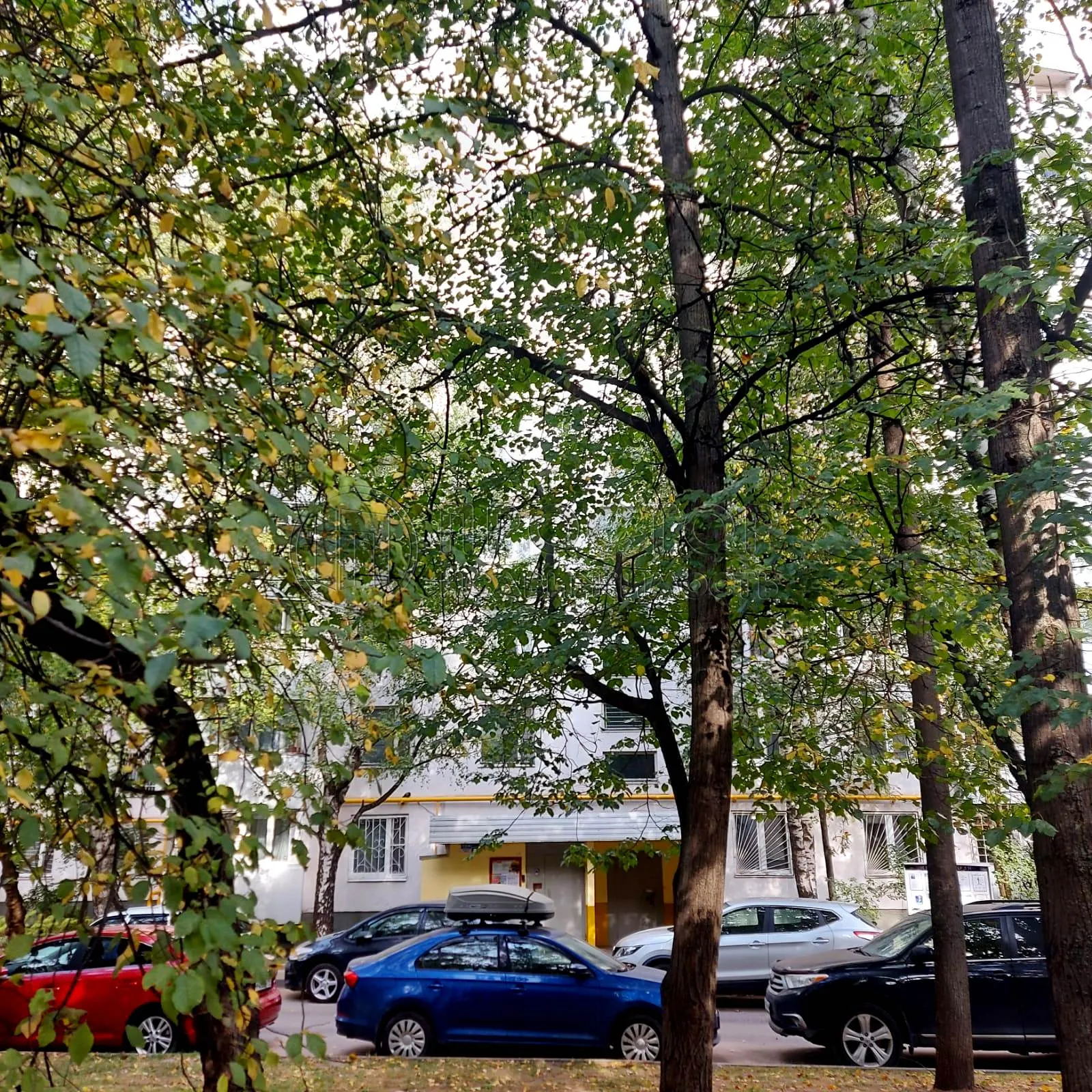 1-комнатная квартира, 31.2 м² - фото 5