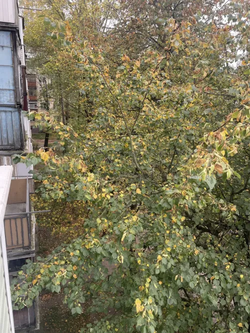 3-комнатная квартира, 58 м² - фото 18