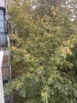 3-комнатная квартира, 58 м² - фото 40
