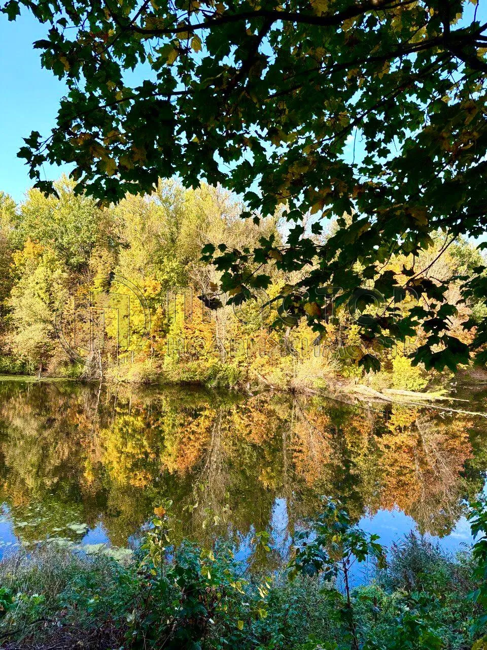 2-комнатная квартира, 50.9 м² - фото 22