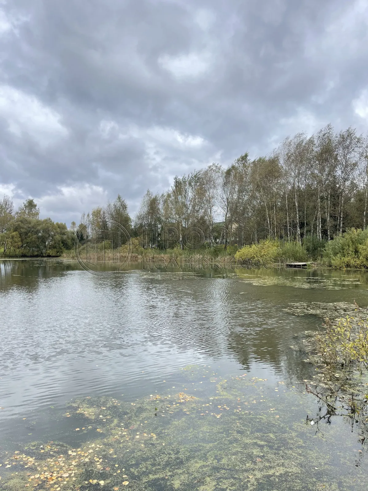 Участок, 11.57 сот. - фото 6