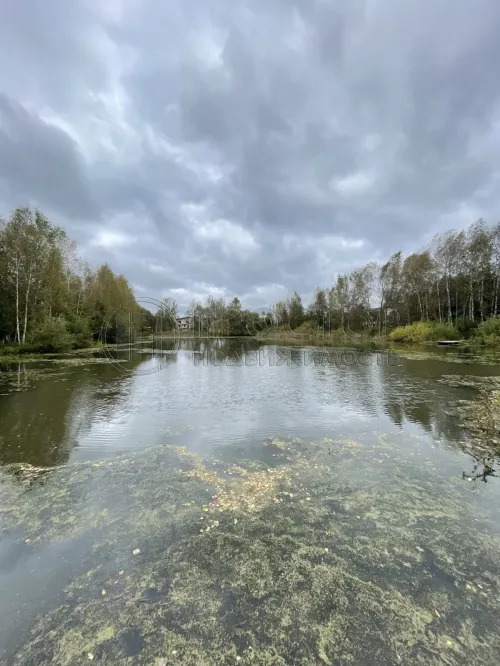 Участок, 11.57 сот. - фото 7