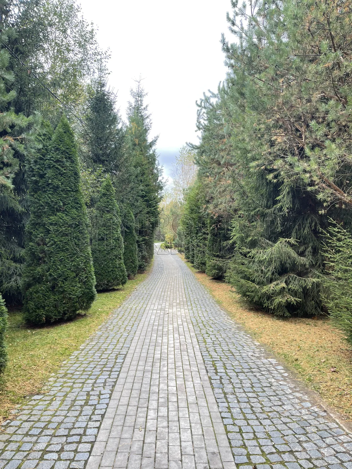 Участок, 11.57 сот. - фото 9