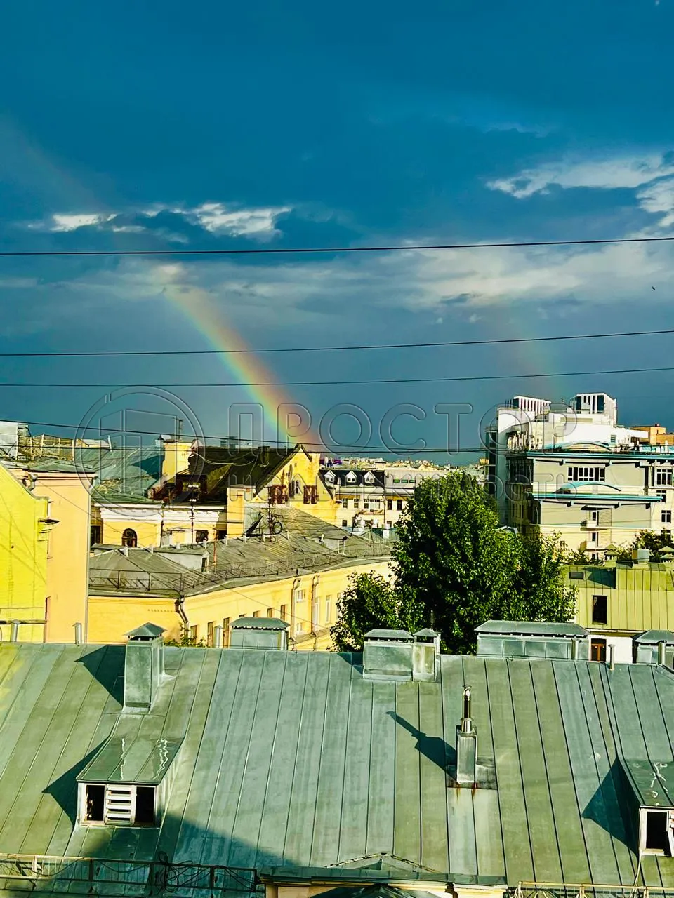 5-комнатная квартира, 150 м² - фото 25