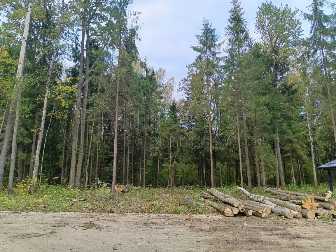 Участок, 8 сот. - фото 2