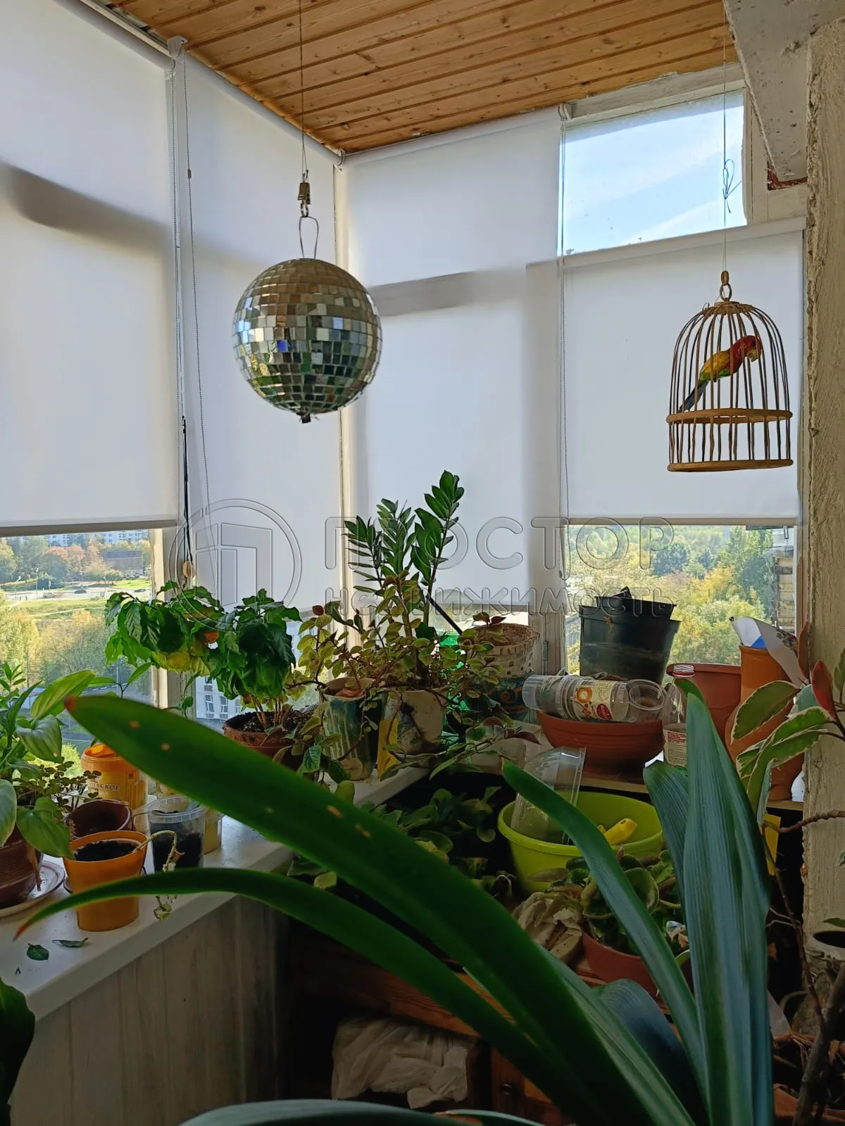 2-комнатная квартира, 46.5 м² - фото 4